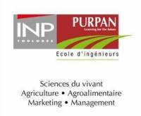  Purpan