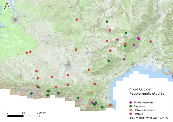 Carte du plan général des peuplements étudiés